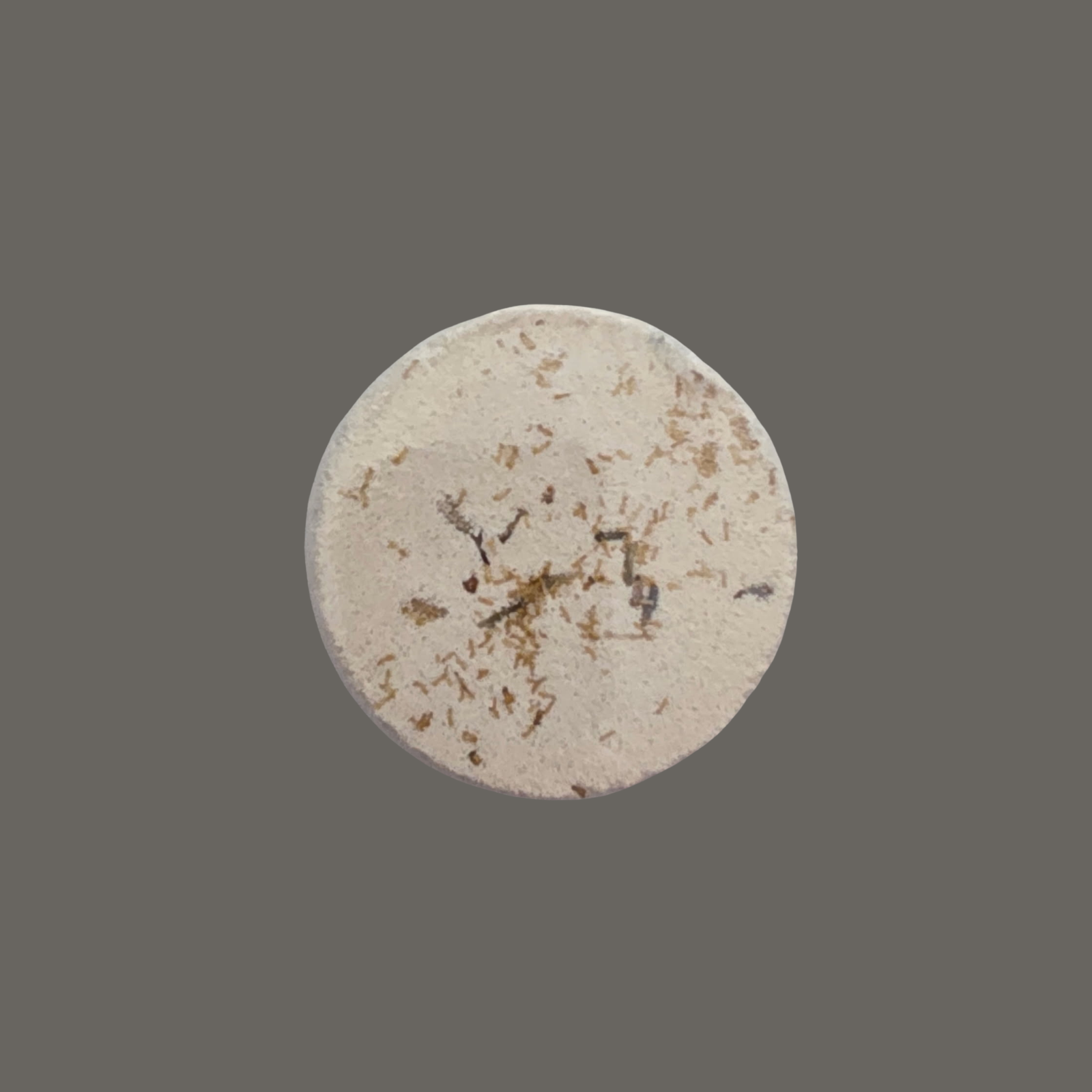 Shower Steamers: Bloom