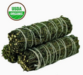 Mugwort Sage